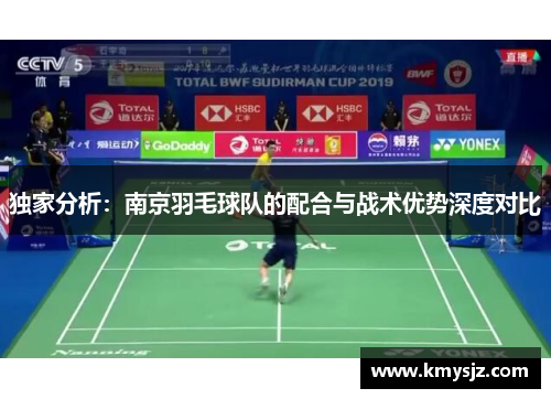 独家分析：南京羽毛球队的配合与战术优势深度对比